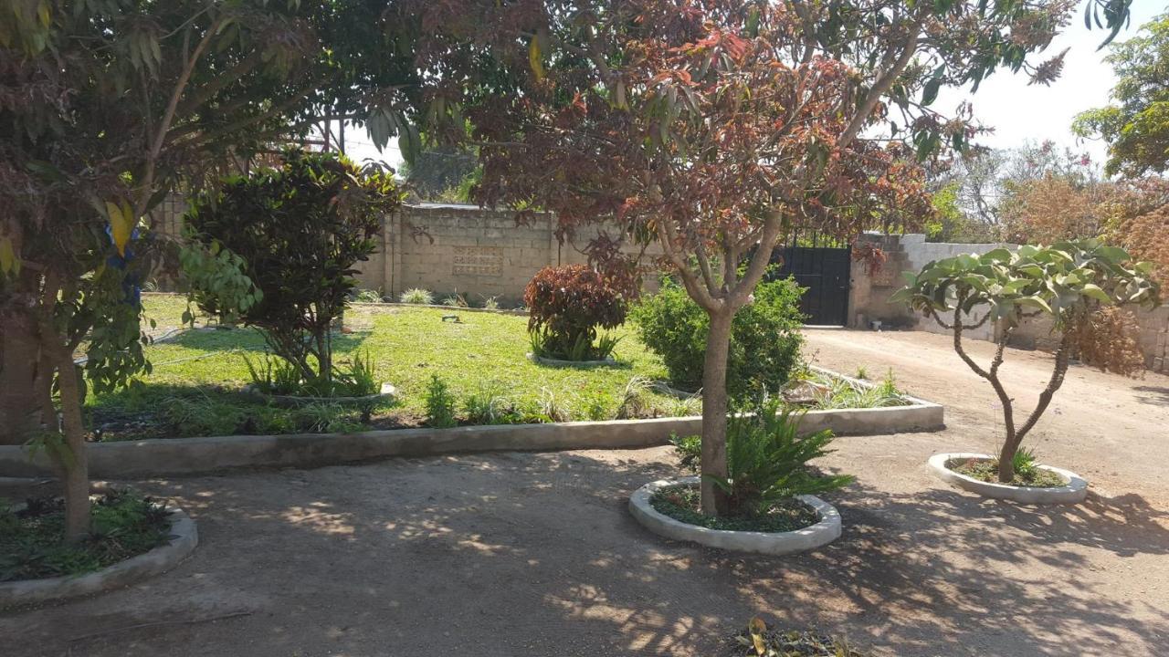The Oasis Evergreen Lodge Choma Exterior photo