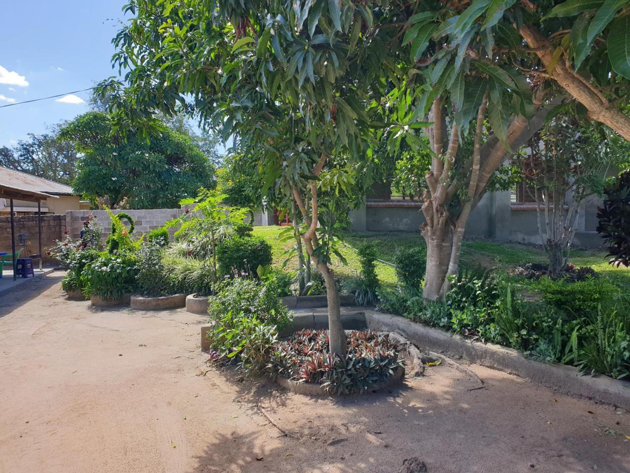 The Oasis Evergreen Lodge Choma Exterior photo