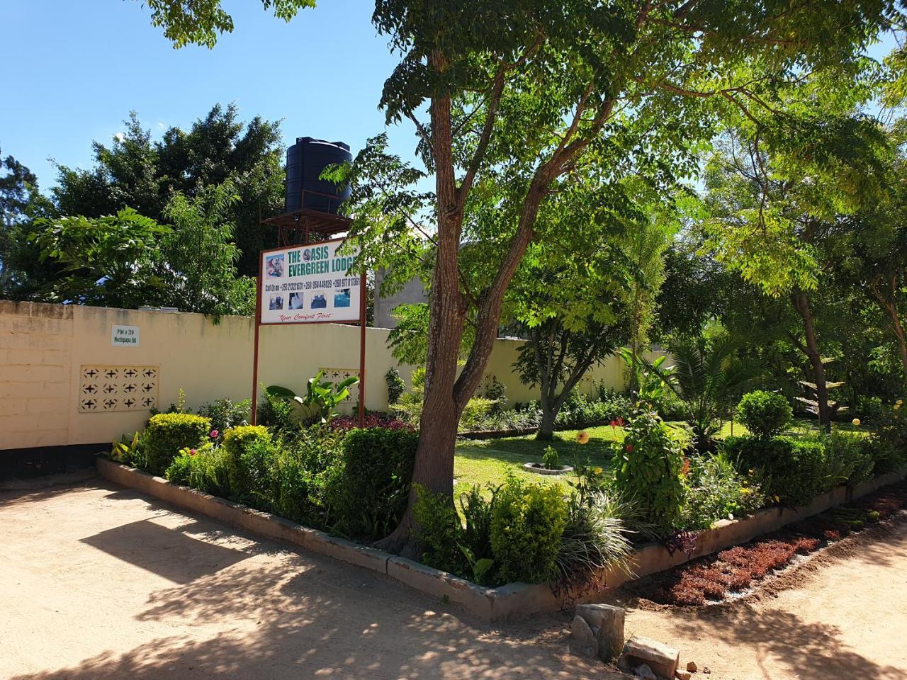 The Oasis Evergreen Lodge Choma Exterior photo